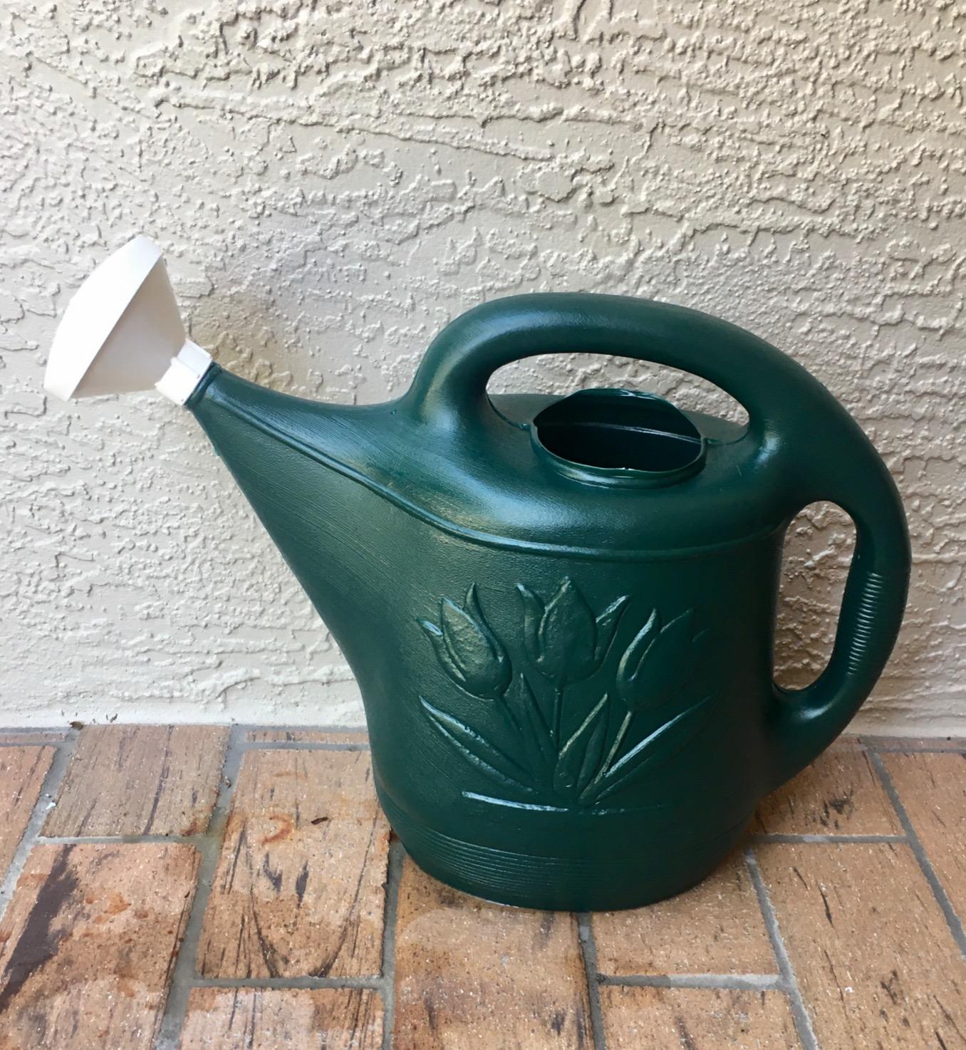 Root & Vessel Classic 2-Gallon Watering Can Outdoor, Hunter Green customer photo 1