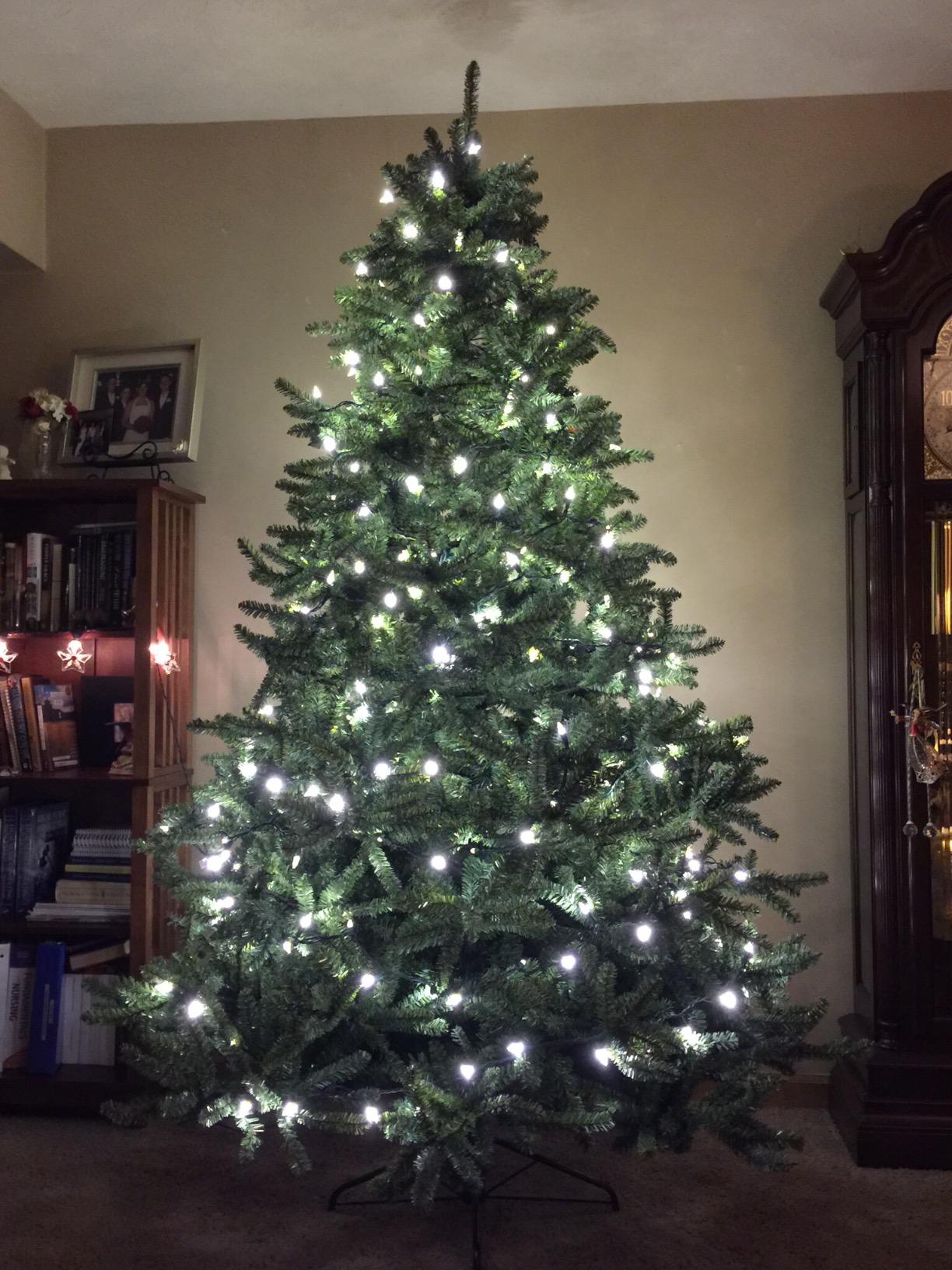 Balsam Hill 6.5ft Unlit Classic Blue Spruce - Artificial Christmas Tree with 2,144+ Tips, Premium Stand & Easy Assembly for Indoor Holiday Decorating customer photo 2