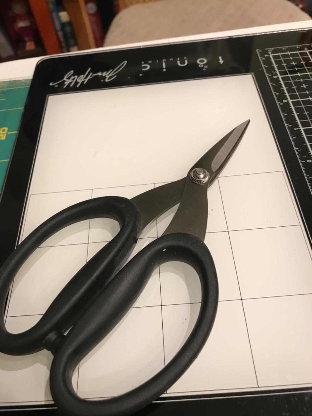 Tim Holtz Small Titanium Scissors - 7 Inch Mini Snips with Micro Serrated Blade - Non Stick Craft Tool for Cutting Paper, Fabric, and Sewing - Black Comfort Grip Handles customer photo 2