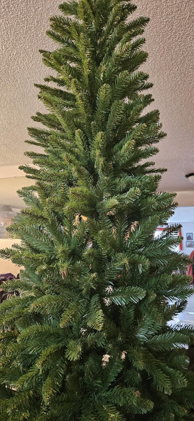 National Tree Company 7ft Unlit Kingswood Fir Slim Christmas Tree customer photo 1