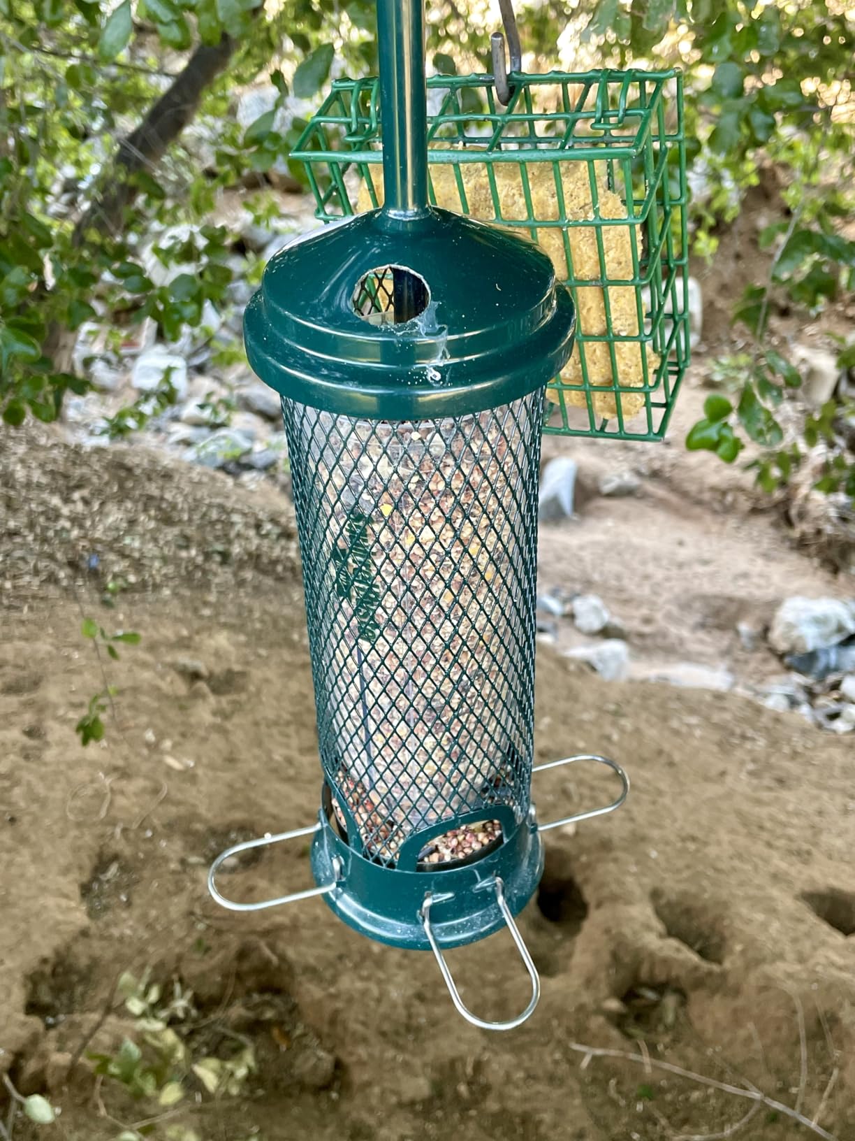 Squirrel Buster Mini Squirrel-Proof Bird Feeder for Wild Birds – 4 Metal Perches, 1 lb Seed Capacity, Chew-Proof Design, Lifetime Care, Garden Green | Four metal perches, chew-proof design, easy cleaning, for clinging and perching birds customer photo 2