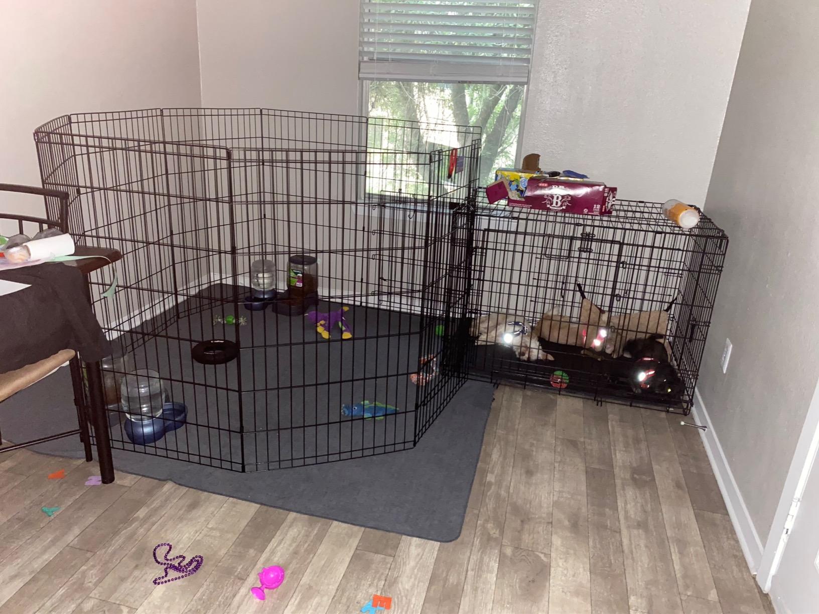 MidWest 36-Inch Exercise Pen, Single Door, 16 Sq Ft Play Area customer photo 2