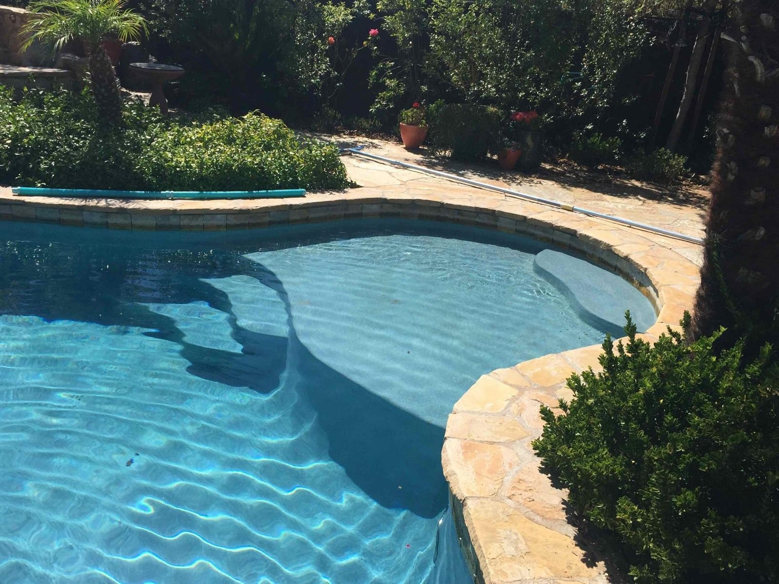 Zodiac G3 Suction-Side Inground Vacuum Pool Cleaner customer photo 1