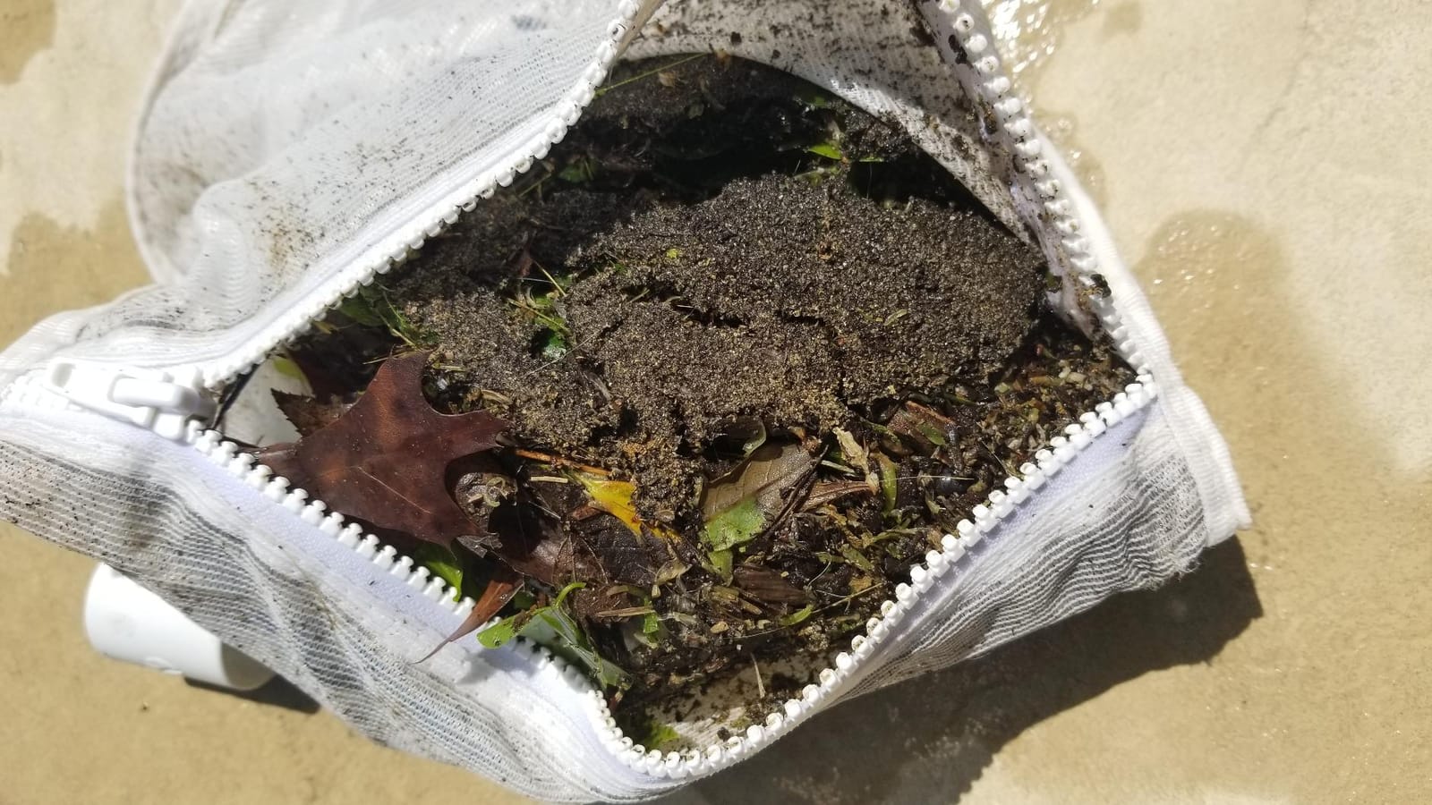 Polaris Vac-Sweep 280 Pressure-Side In-ground Pool Cleaner customer photo 2