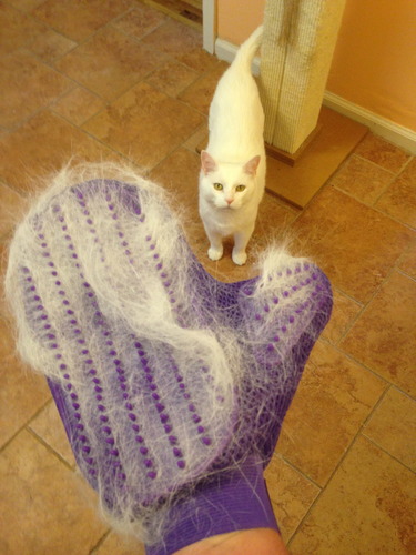 Four Paws Love Glove Cat Grooming Glove customer photo 2
