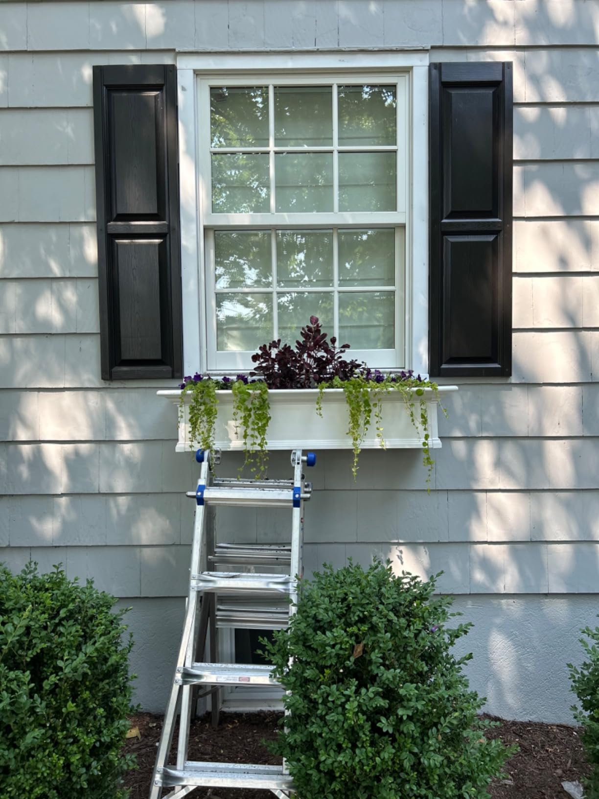Mayne Yorkshire 4ft Window Box - White - 48in L x 12in W x 10in H - Polyethylene Planter - Built-In Water Reservoir (4824-W) customer photo 2