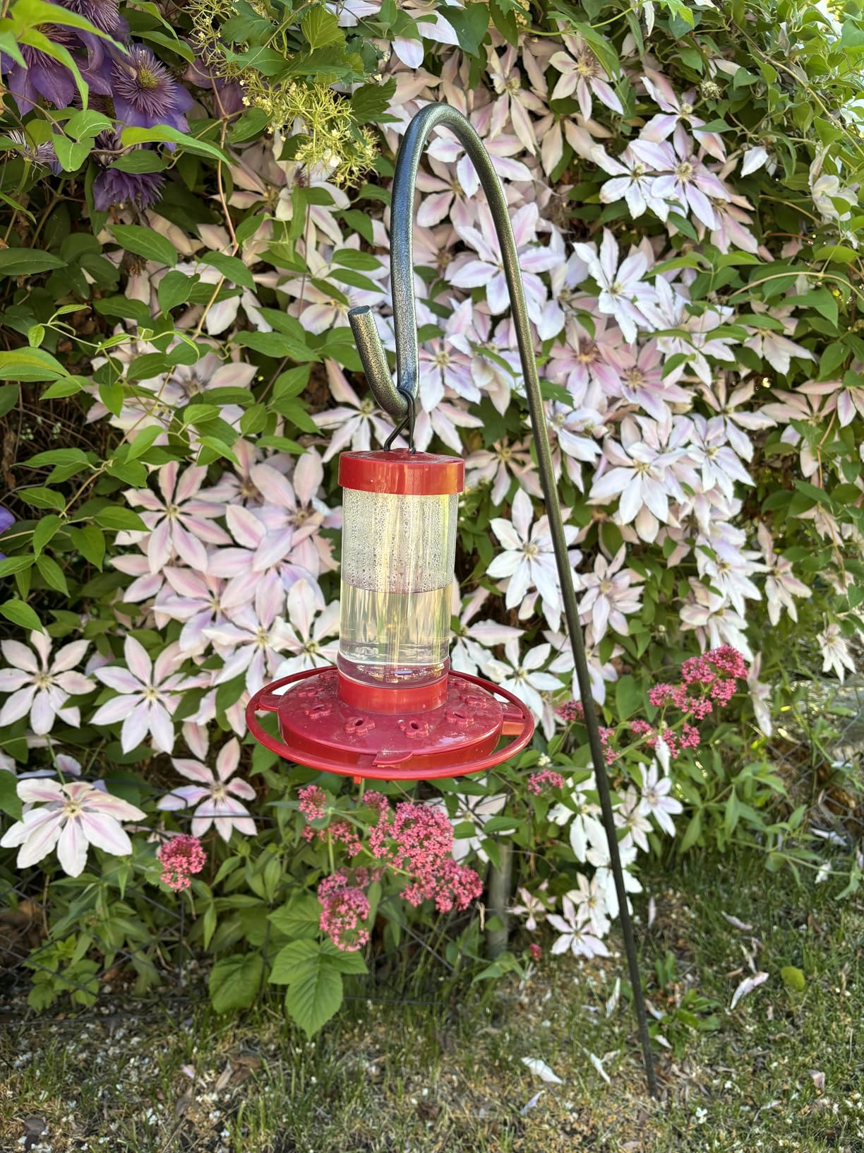 First Nature Hummingbird Feeder - 10 Feeding Ports - Red Base | Wide Mouth Prevents Messy Spills - Sealing Ring Prevents Bottom Leaks - Multi-Port Base Accommodates Flocks customer photo 2