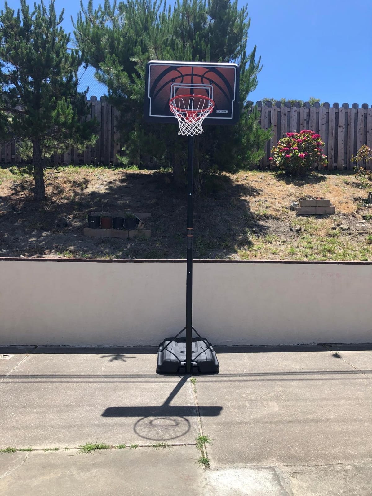 Lifetime Height Adjustable Portable Basketball System, 44 Inch Backboard customer photo 1