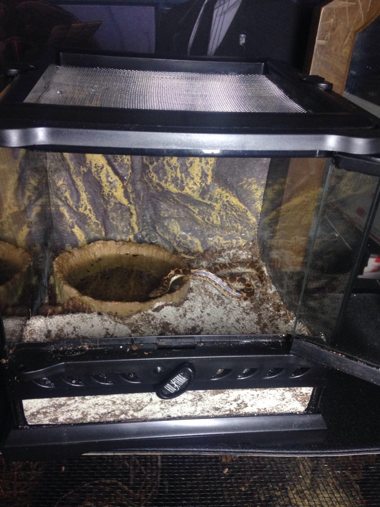Exo Terra Glass Nano Terrarium Kit, 8 x 8 x 12 Inches customer photo 1