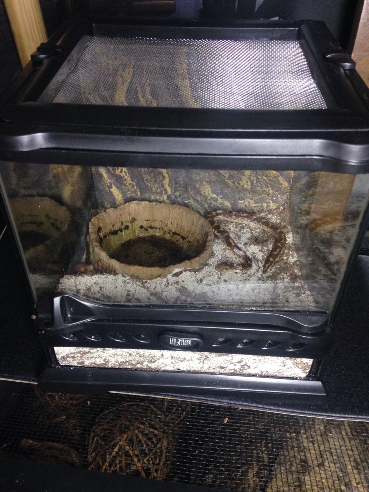 Exo Terra Glass Nano Terrarium Kit, 8 x 8 x 12 Inches customer photo 2