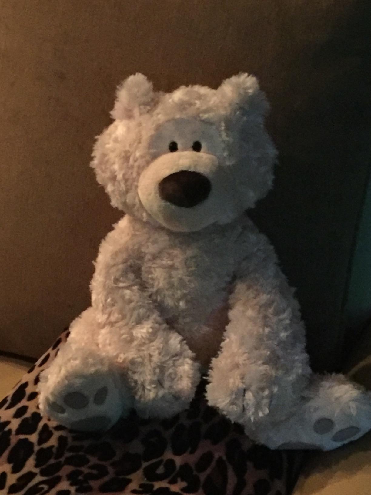 GUND Philbin Classic Teddy Bear, Premium Stuffed Animal for Ages 1 and Up, Beige, 18” customer photo 2