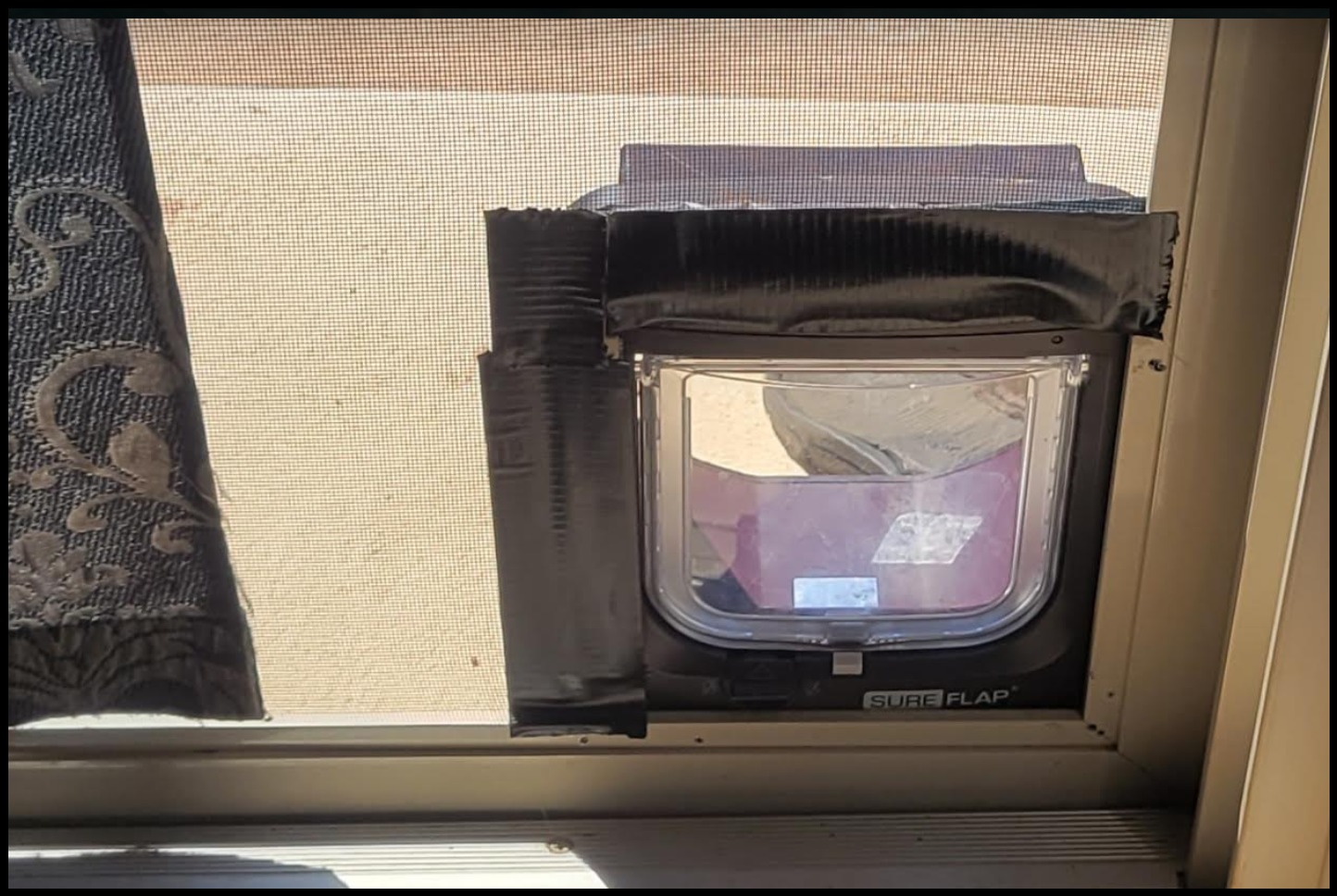 SureFlap Microchip Cat Flap customer photo 2