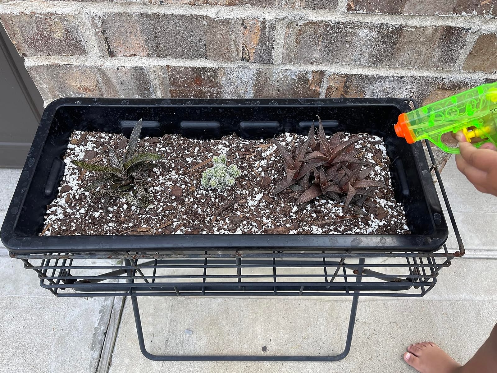 Root & Vessel Poly-Pro Plastic Flower Box Planter, Black, 30-Inch customer photo 1