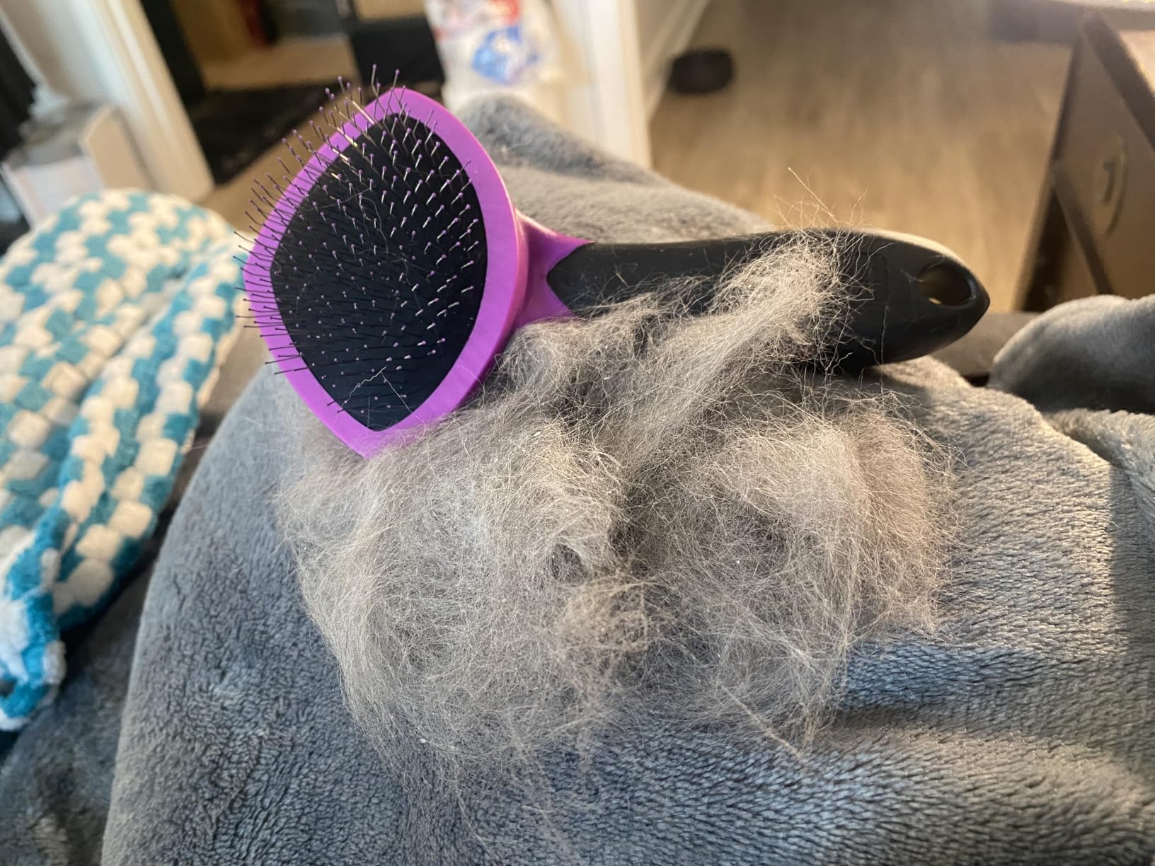 Hartz Groomer's Best Small Slicker Brush for Cats and Small Dogs, Black/Violet, 1 Count customer photo 2