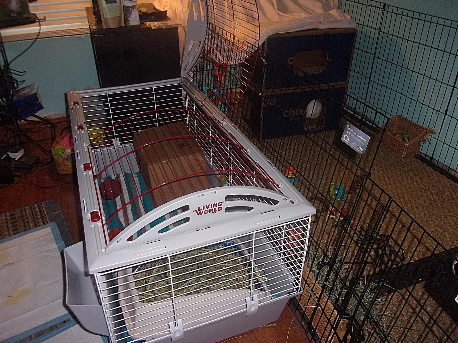 Living World - Deluxe Hybrid Habitat, X-Large | Rabbit, Guinea Pig, Chinchillas, and Small Animal Cage customer photo 2