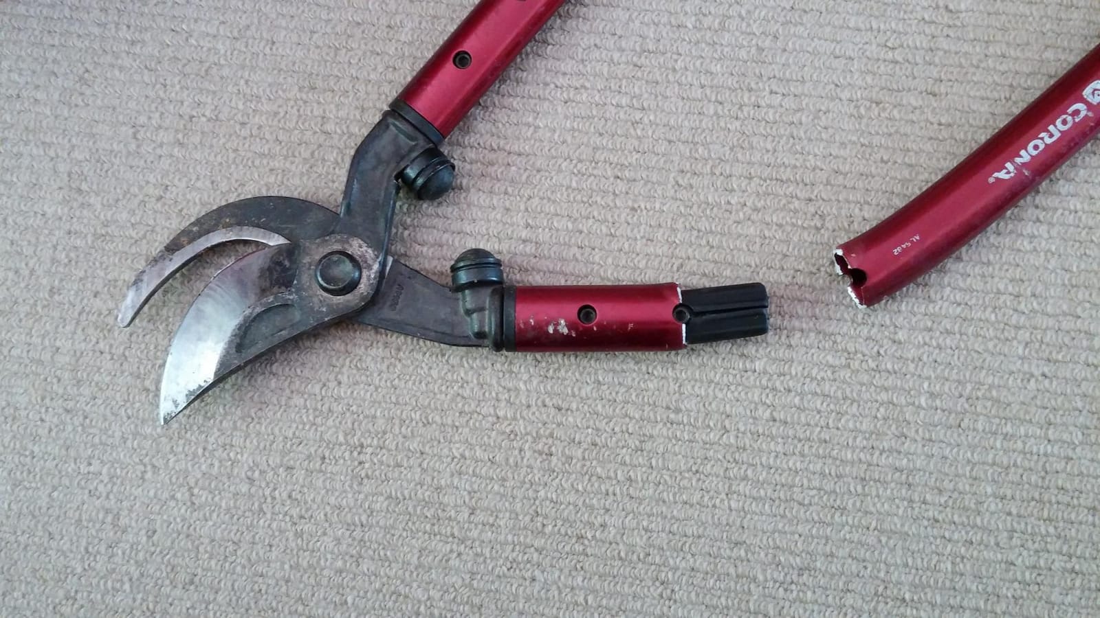 Corona Tools | 32-inch Branch Cutter MAXFORGED Orchard Loppers | Tree Trimmer Cuts Branches up to 2 ¼-inches in Diameter | AL 8462, Red customer photo 2