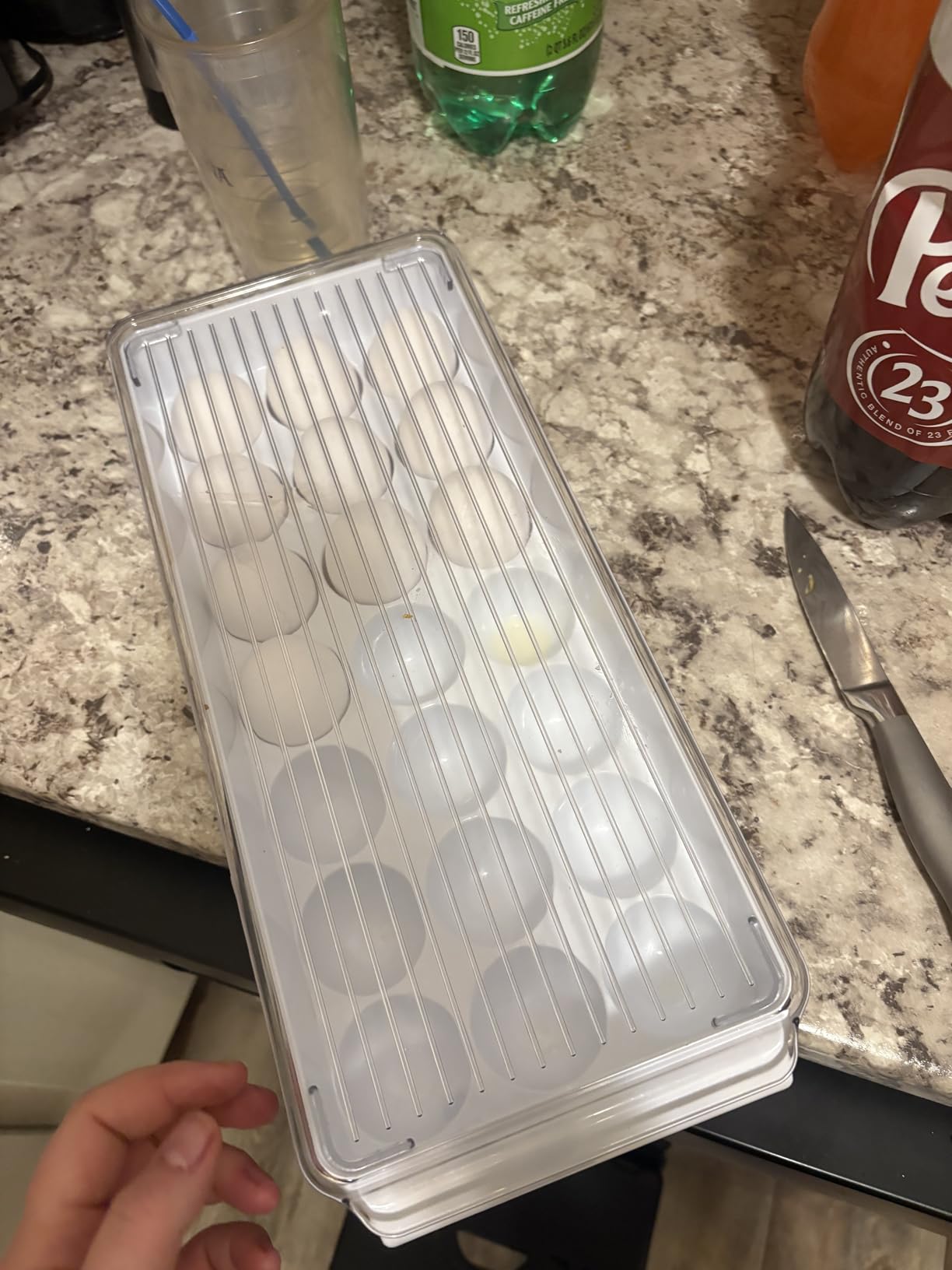 iDesign Clear Plastic Egg Holder for Fridge with Lid, 21 Egg customer photo 2
