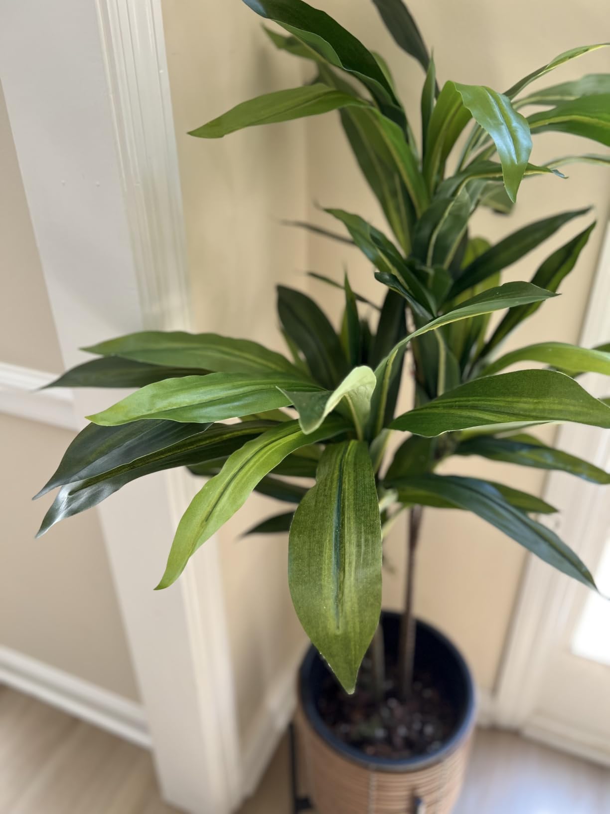Nearly Natural 48 in Artificial Dracaena Real Touch Plant with Pot customer photo 2