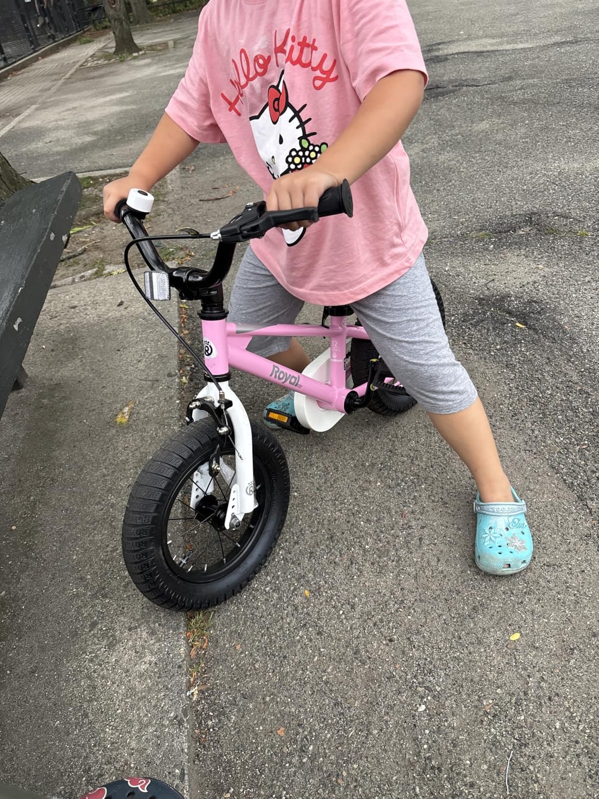 RoyalBaby Freestyle Kids Bike for Boys Girls Ages 3-10 Years | 12 14 16 Inch with Training Wheels, 18 20 Inch with Kickstand, BMX Style customer photo 1