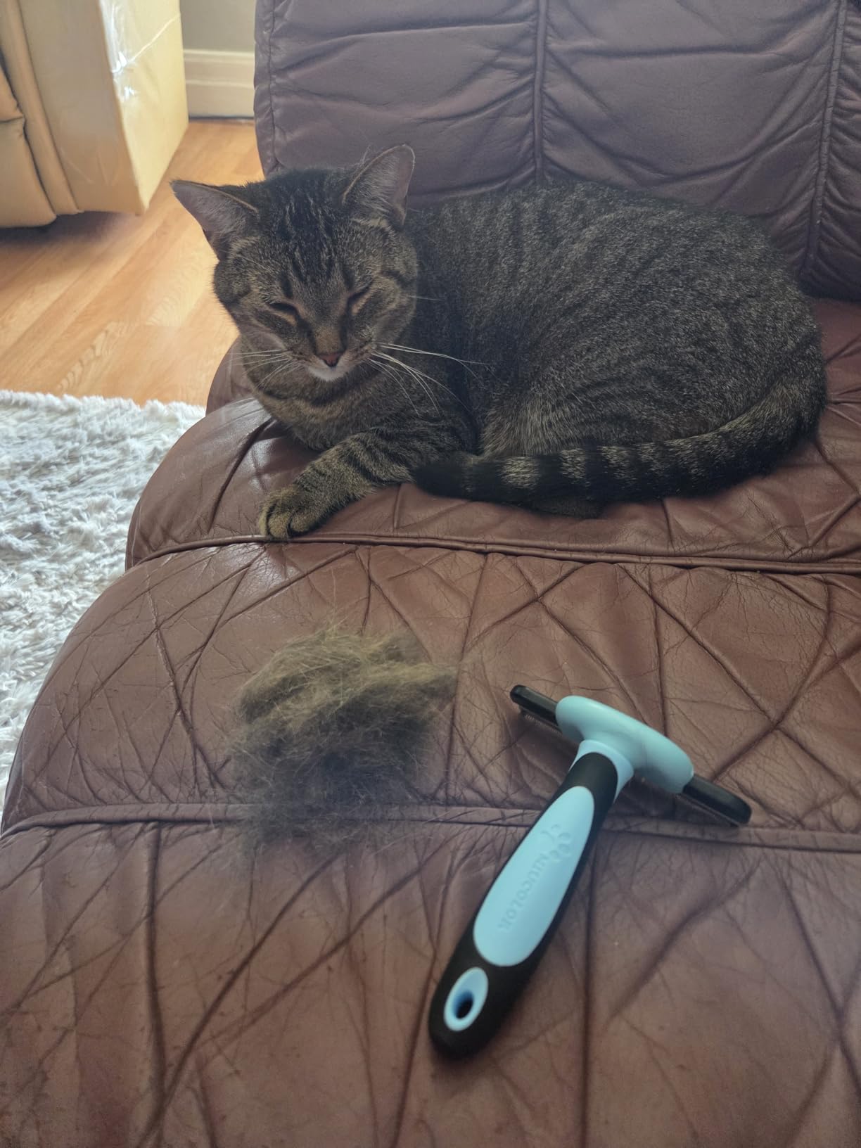 MIU COLOR Pet Grooming Brush, Deshedding Tool for Dogs & Cats, Blue customer photo 2