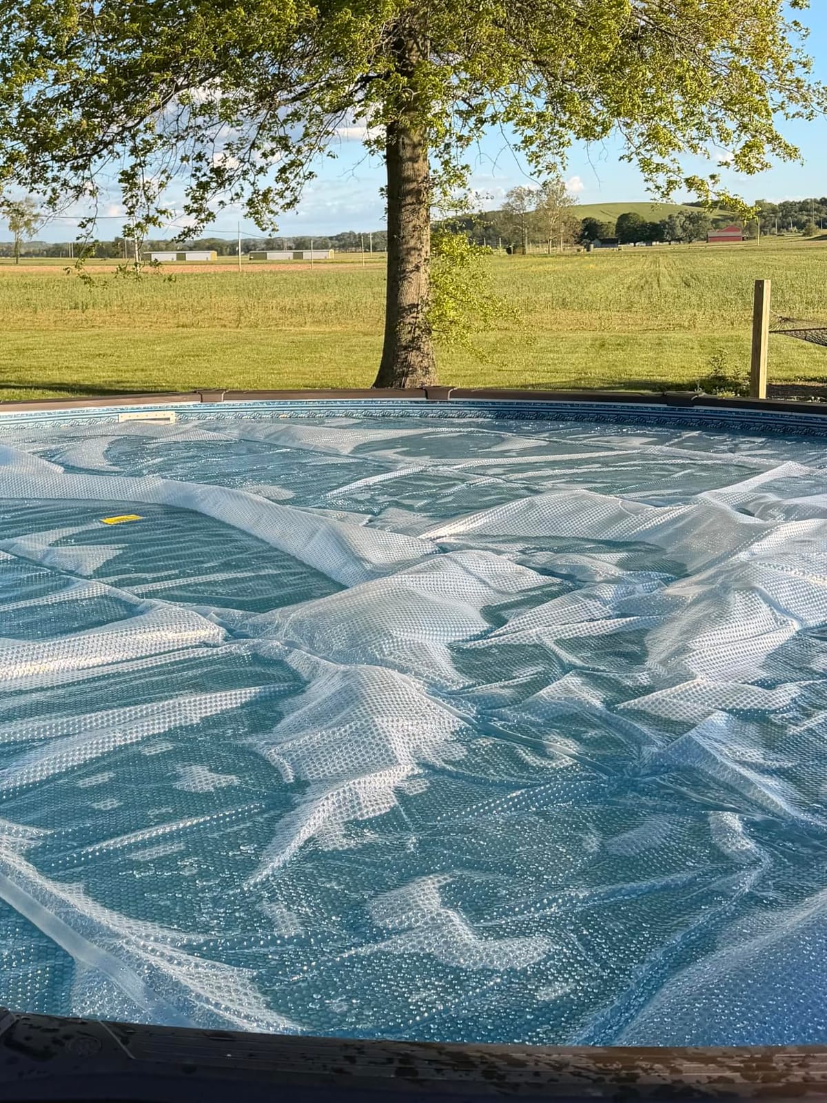 Sun2Solar Blue 24 ft Round Pool Solar Cover | 12 Mil | Heat Retaining | Thermal Blanket for Inground & Above Ground Swimming Pools | Sun's Energy Heats Pool | Bubble Heating Blankets | 1200 Series customer photo 1
