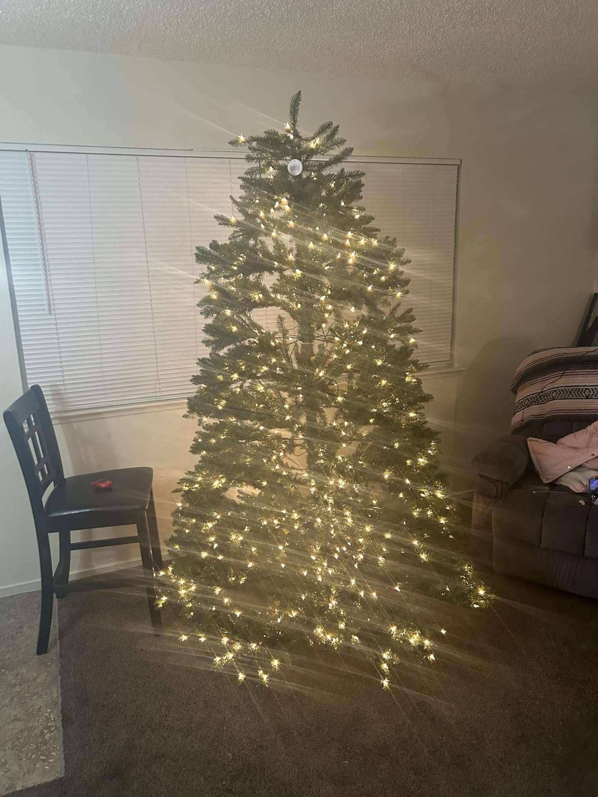 National Tree Company 7ft Pre-Lit Dunhill Fir Artificial Christmas Tree customer photo 1
