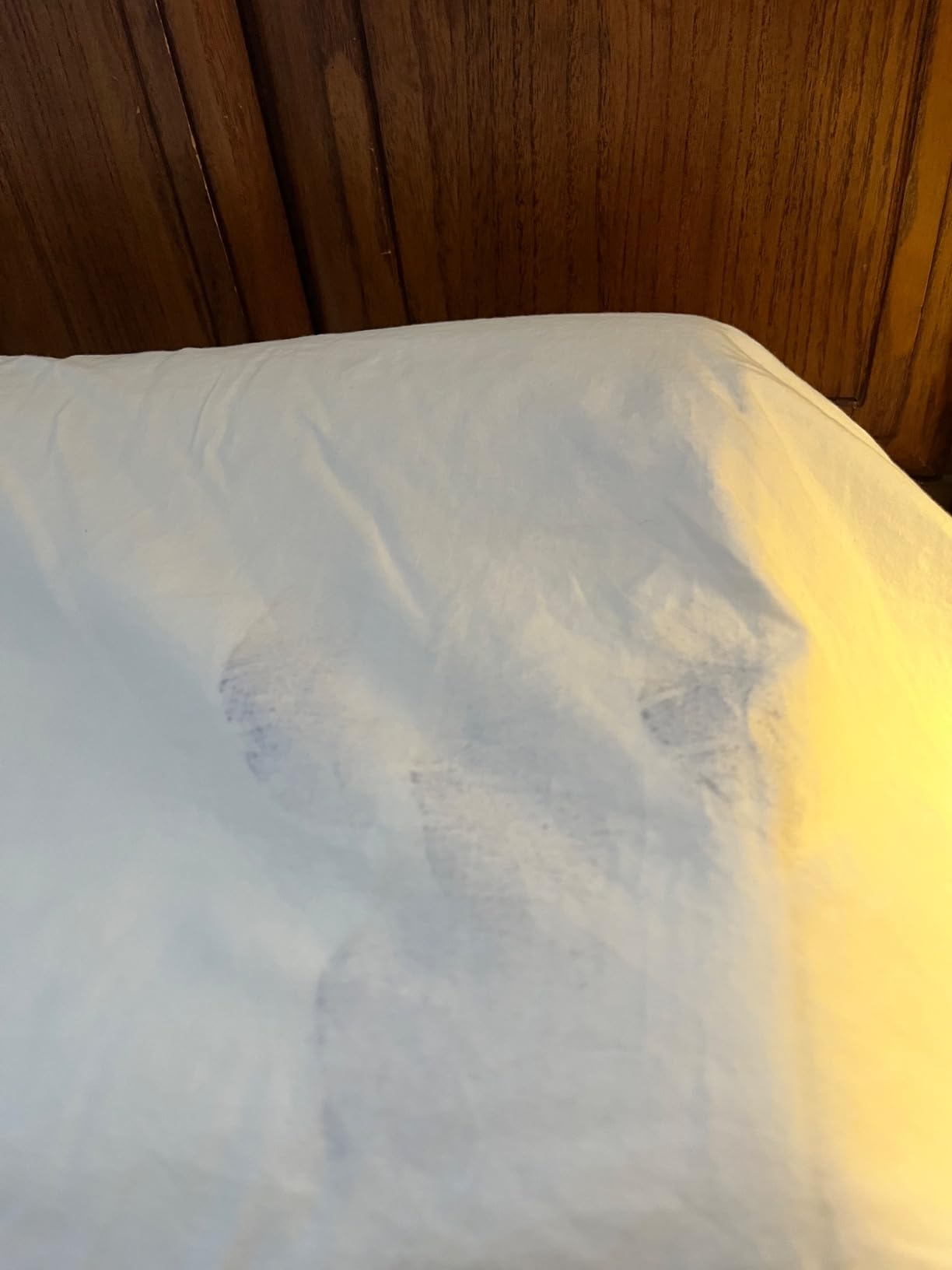 Alaska Bear Sleep Mask Silk Eye Cover with Shaped Pad, Machine Washable customer photo 1