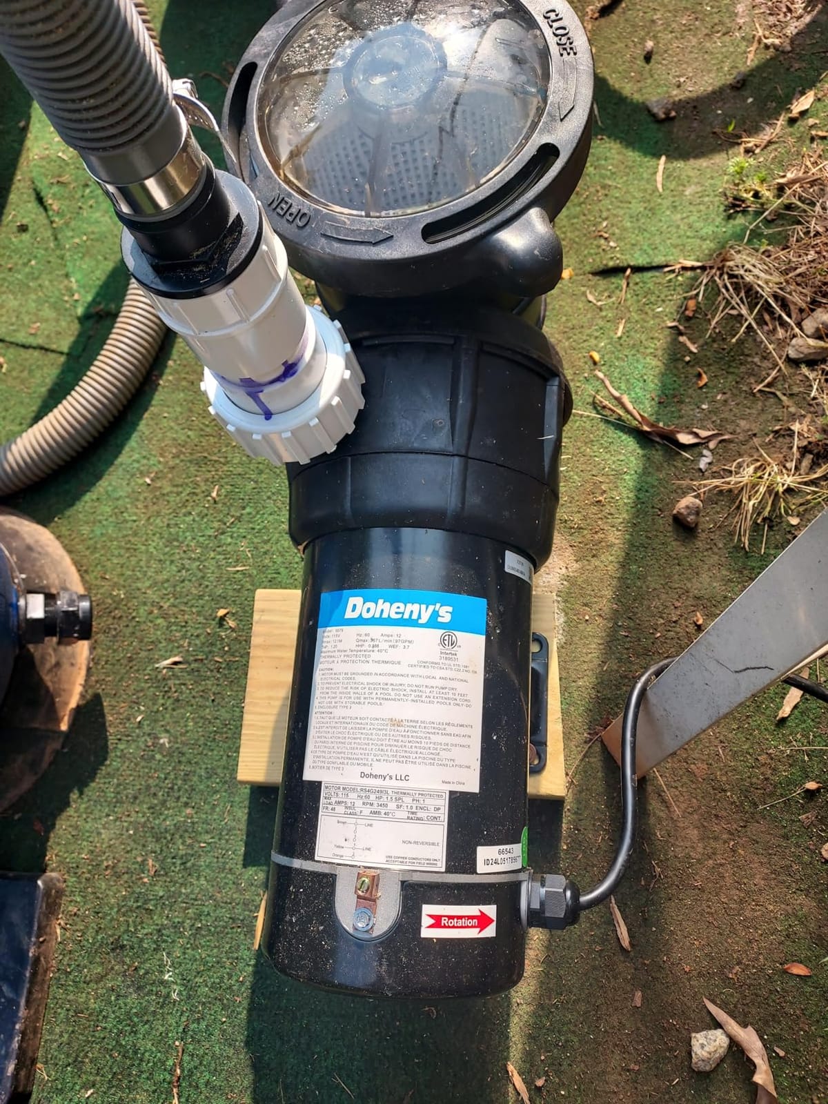 Doheny's 1.5 HP Above Ground Swimming Pool Pump customer photo 1