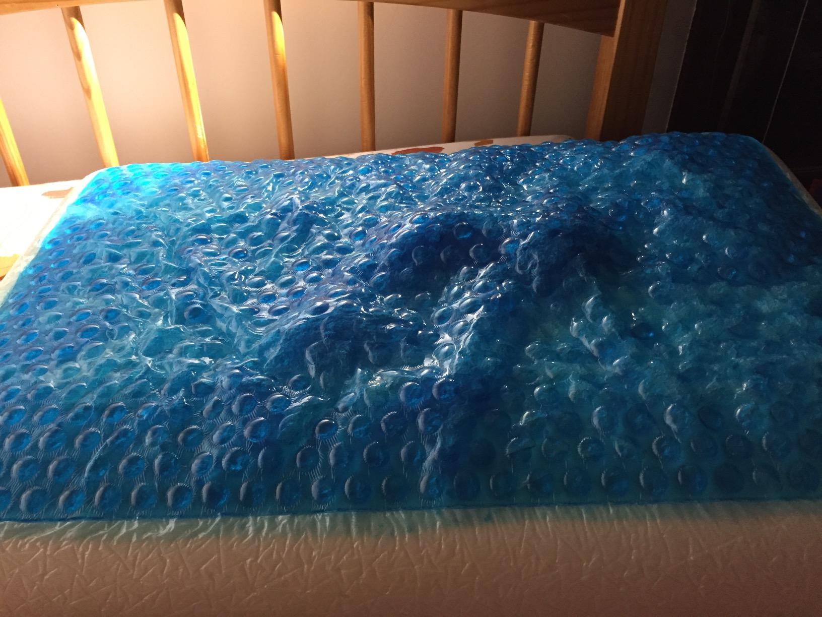 Cool Gel Cooling Pillow for Sleeping, Standard Size Cooling Memory Foam Pillow for Hot Sleepers, Reversible Ergonomic Design, Pressure Relief, Spine Alignment, Side, Back Contouring Support customer photo 1