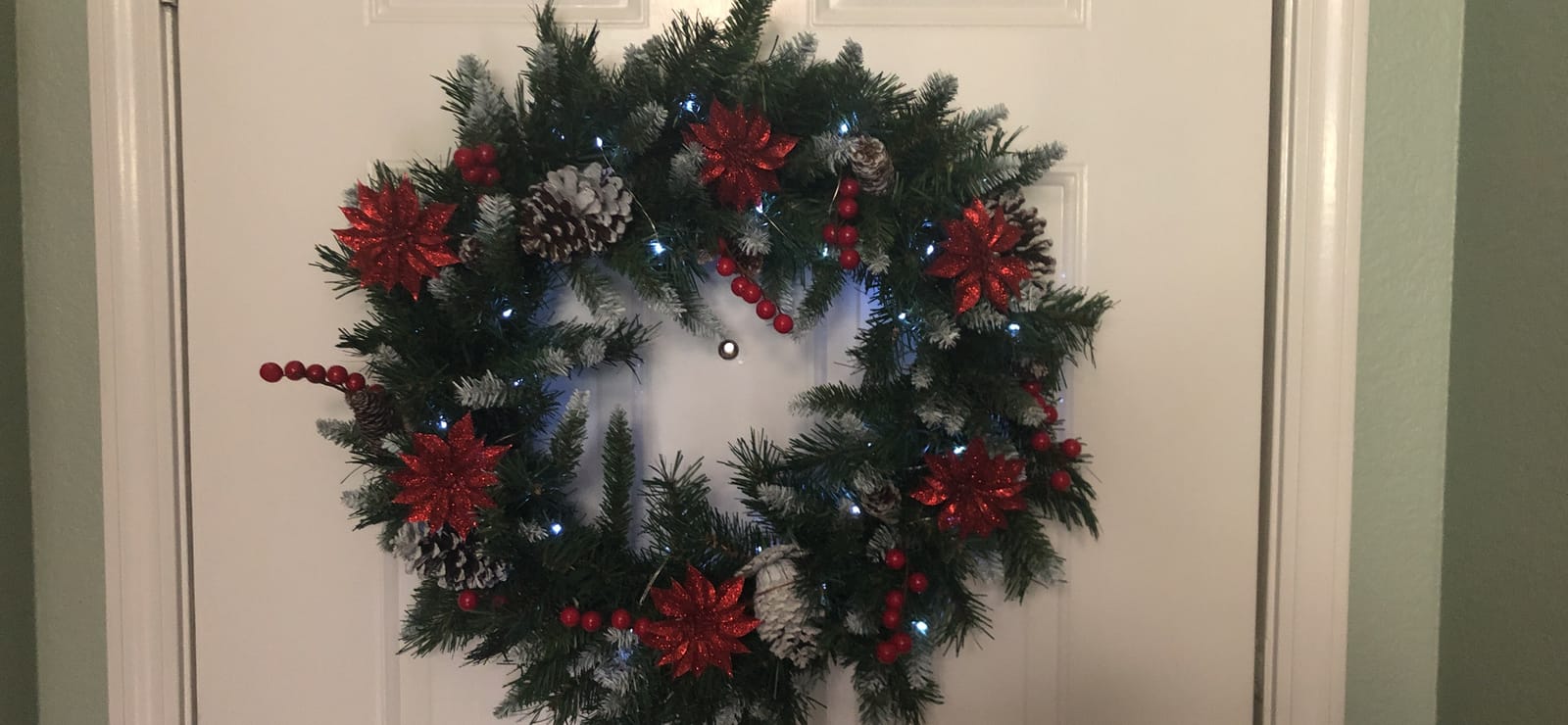 National Tree Company 24in Unlit Frosted Berry Artificial Christmas Wreath customer photo 2