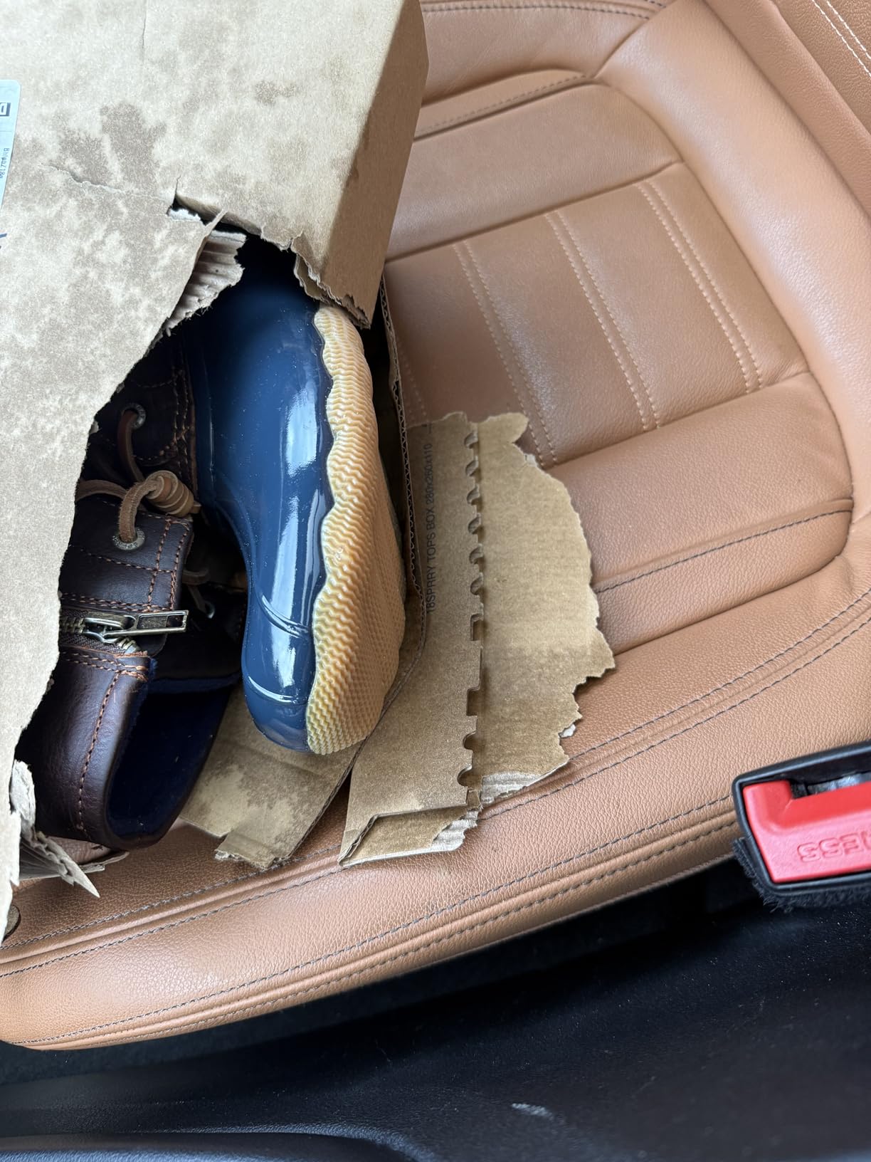 Sperry womens Saltwater Seasonal customer photo 1