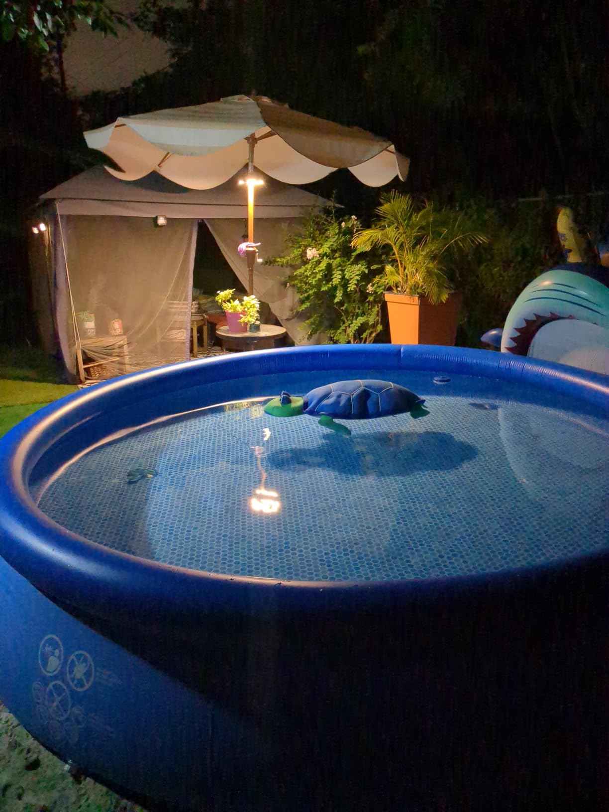 INTEX Easy Set 10 ft x 30in Above Ground Pool Set, Round Inflatable Swimming Pool with 330 GPH Cartridge Filter Pump and Type H Cartridge customer photo 1