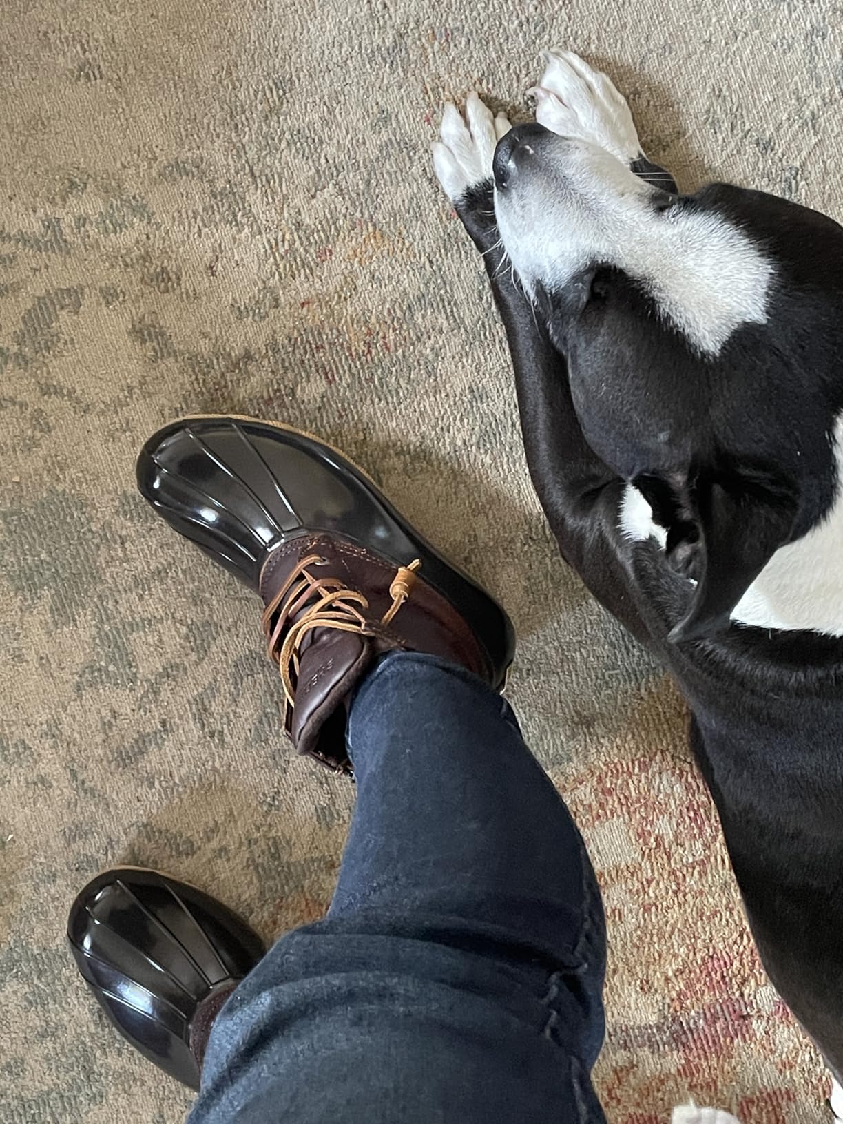 Sperry womens Saltwater Seasonal customer photo 1