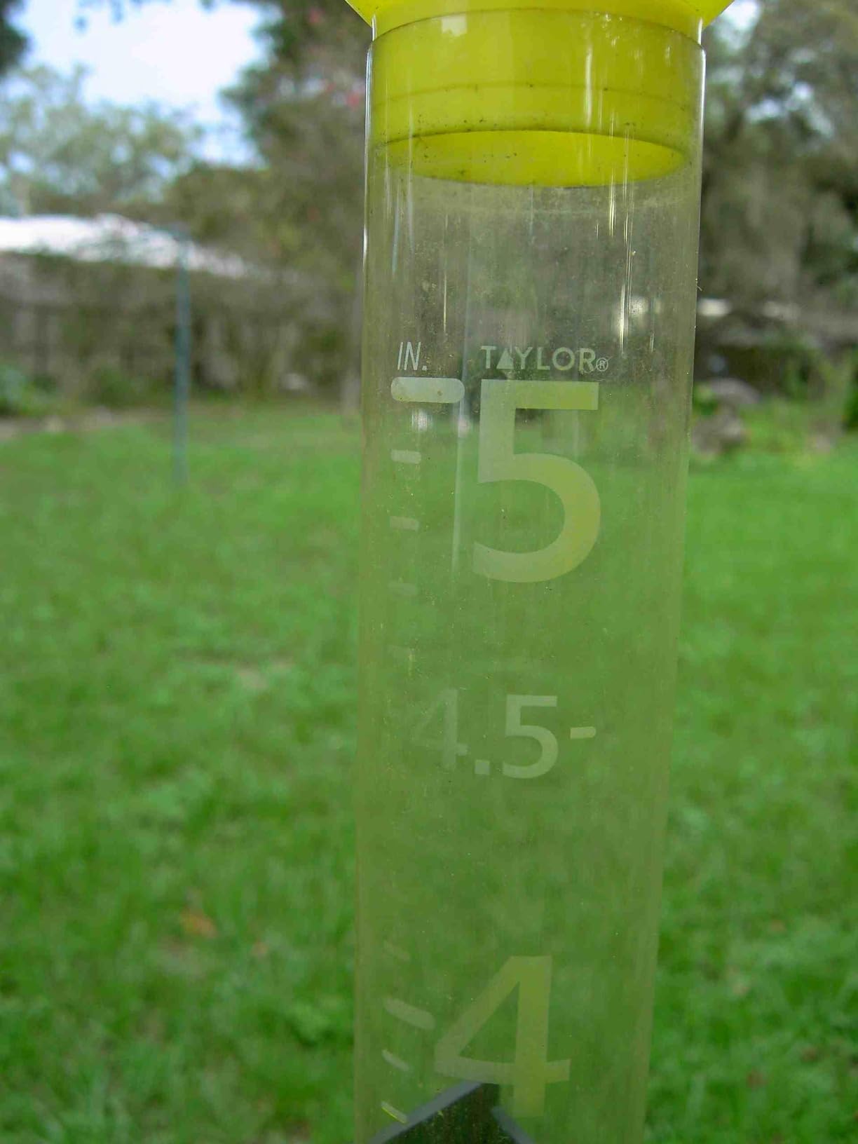 Taylor Jumbo JR Rain Gauge, Measure and Monitor Precipitation, Easy to Read for Backyard, Patio, Garden, and Lawn, 5-inch, Yellow customer photo 2