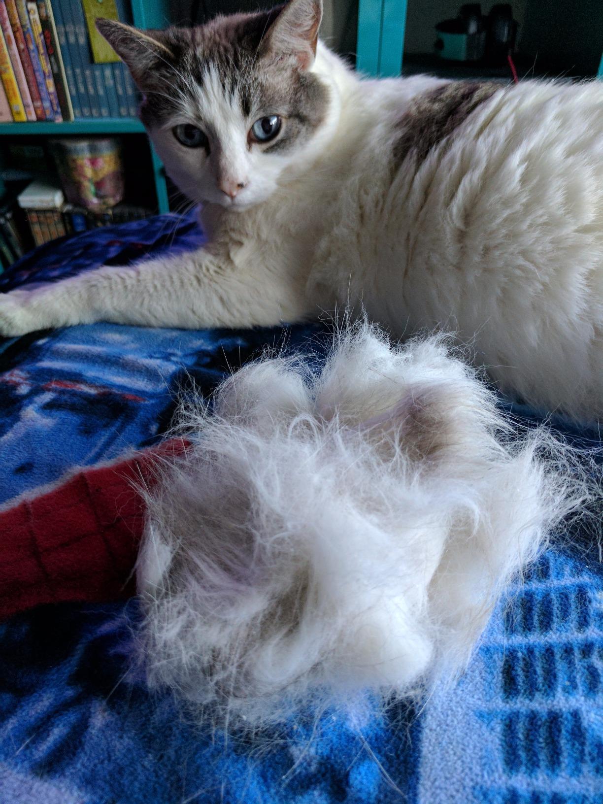 Hertzko Self Cleaning Slicker Brush for Dogs and Cats - Pet Hair Brush for Shedding Long and Short Hair - Easy Clean Retractable Bristles - Cat and Dog Grooming Tool - Purple customer photo 2