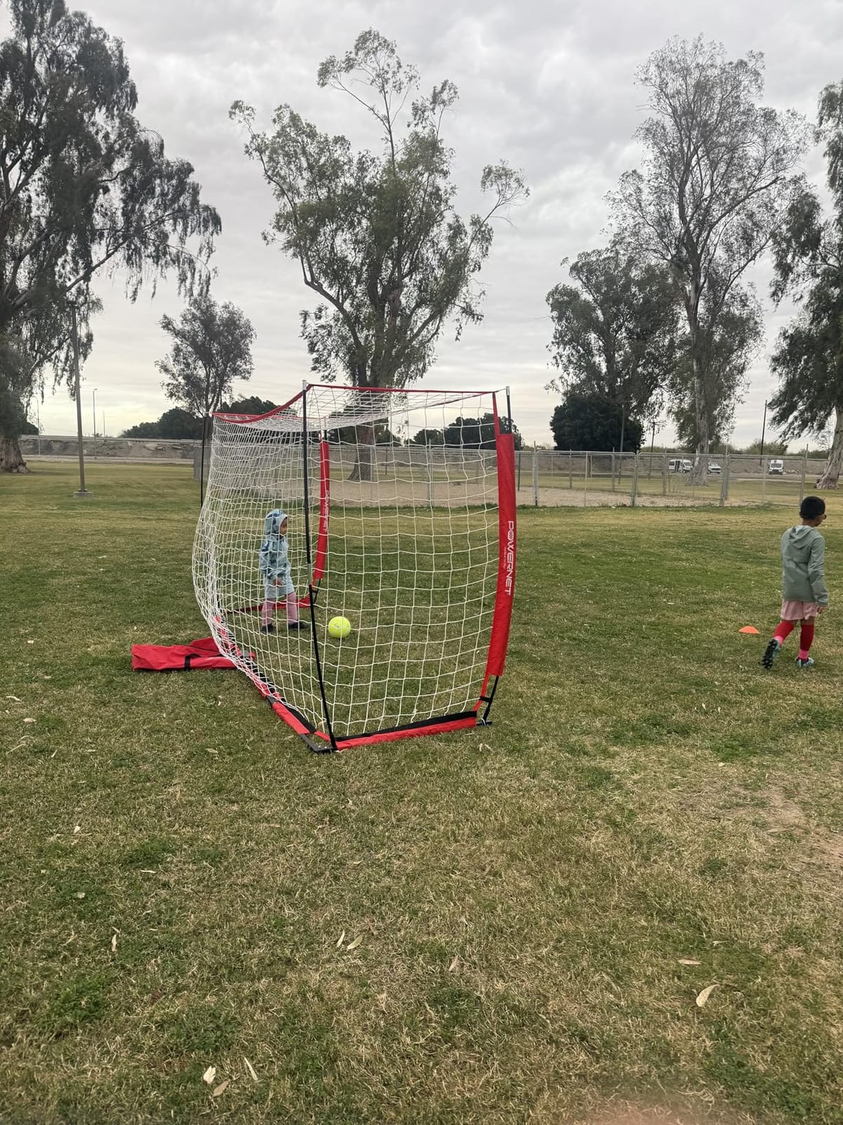 PowerNet Soccer Goal for Backyard, 6x4 ft Portable Soccer Net, Quick Setup, 1 Goal & Zipper Storage Bag customer photo 1