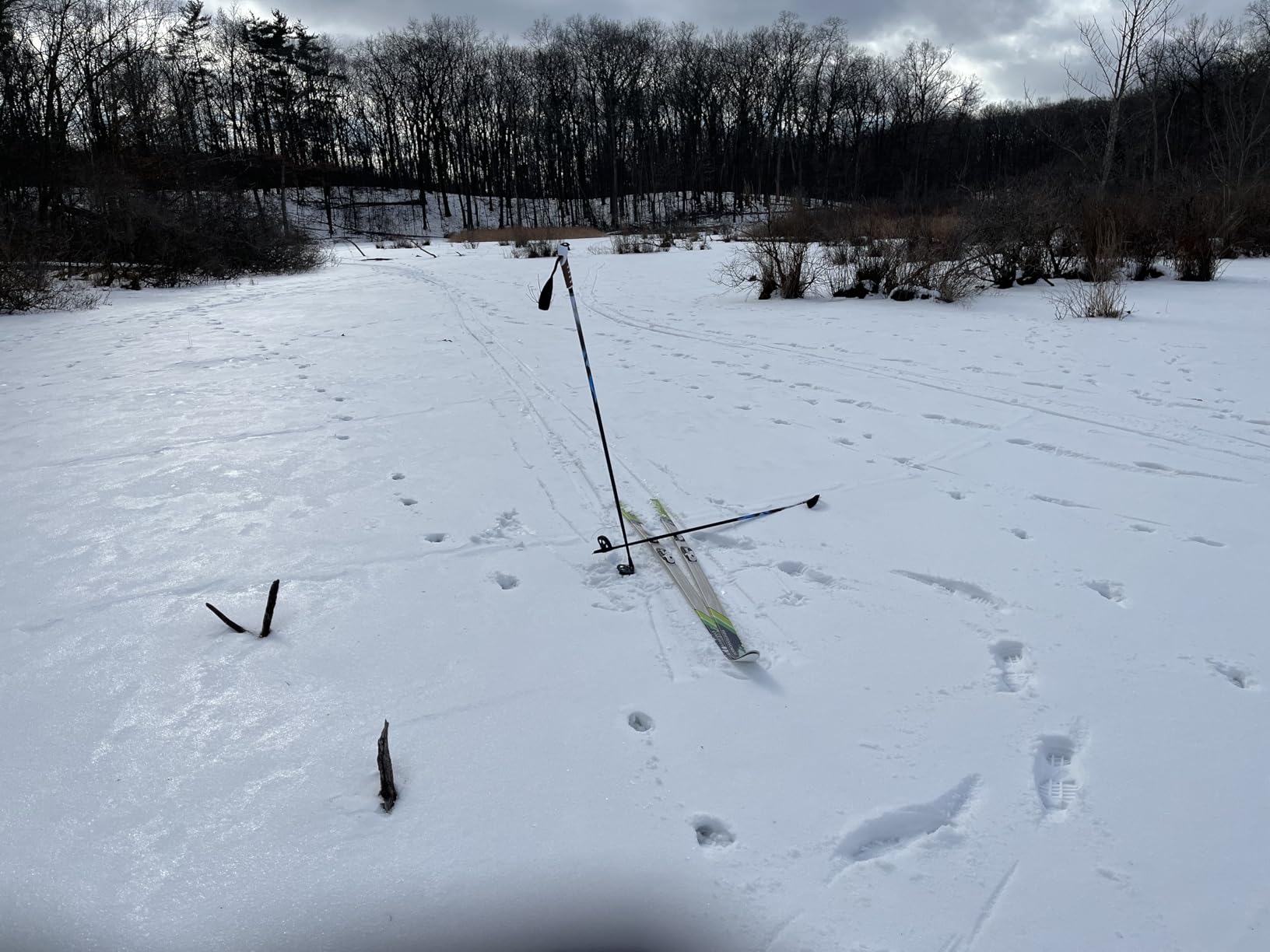 Whitewoods Adult NNN Cross Country Ski Package; Boots, Bindings, Poles, Skis 207cm (for Skiers 180 lbs. & Up) customer photo 1