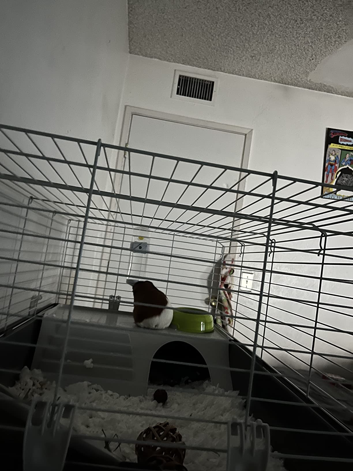 Ferplast Cavie Guinea Pig Cage & Rabbit Cage | Pet Cage Includes All Accessories to Get You Started & a 1-Year Warranty customer photo 1