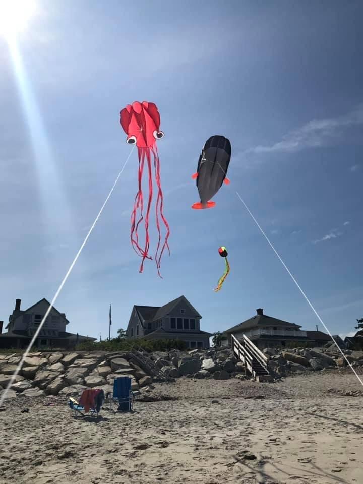 Hengda Kite Soft Octopus Kite Series, Beautiful Kite with Long Colorful Tail for Kids and Adults, Easy to Fly Beach Kites, Excellent Outdoor Games and Activity Toys, Suitable for Beginners. customer photo 1