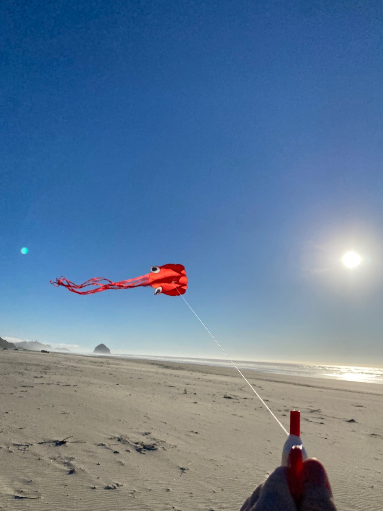 Hengda Kite Soft Octopus Kite Series, Beautiful Kite with Long Colorful Tail for Kids and Adults, Easy to Fly Beach Kites, Excellent Outdoor Games and Activity Toys, Suitable for Beginners. customer photo 2