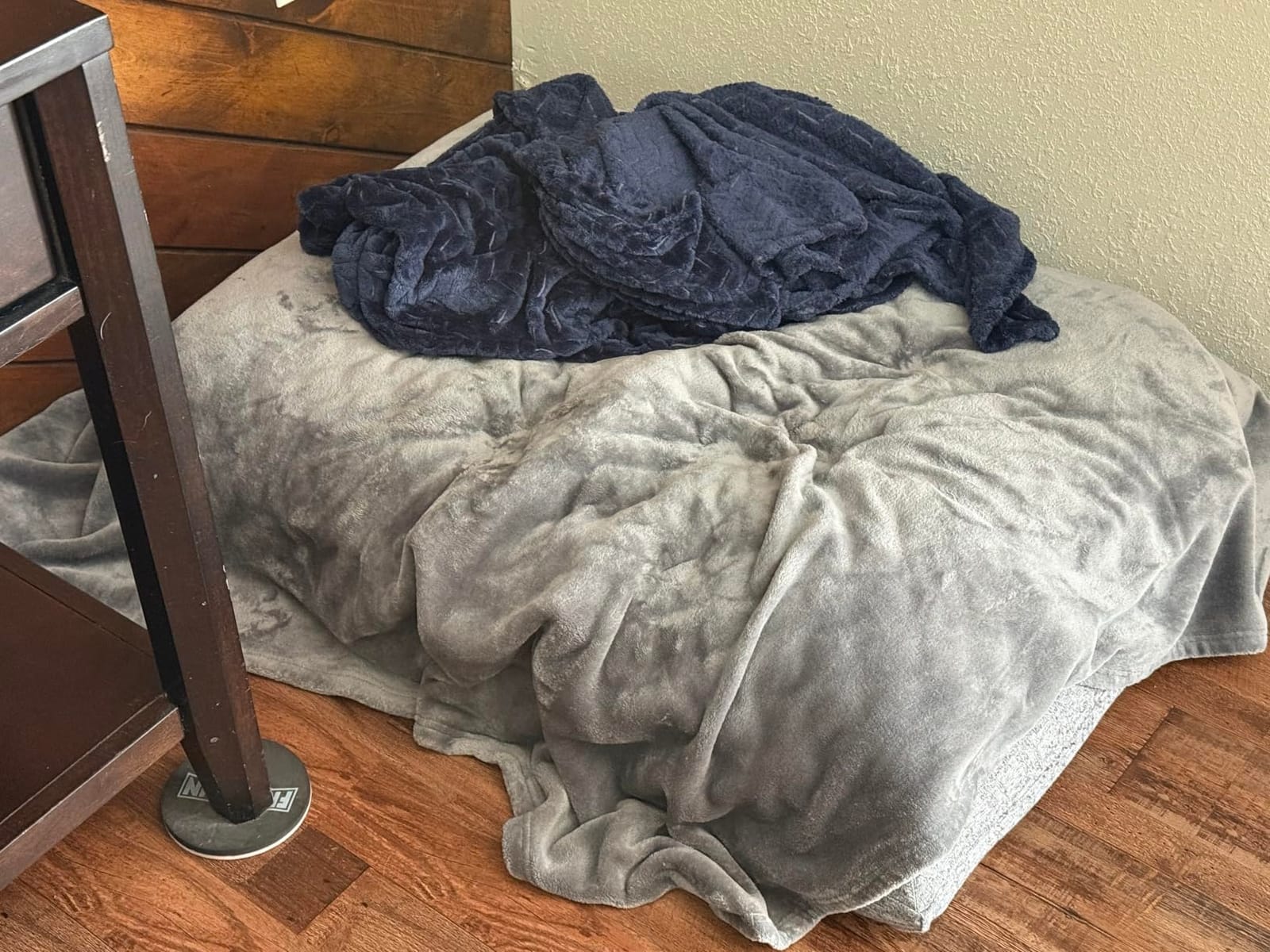 Bedsure Soft Fleece Throw Bed Blanket for Couch Grey - Lightweight Fuzzy Cozy Halloween Decorations Blankets and Throws for Sofa, Couch, Travel, Camping, 50x60 inches customer photo 1