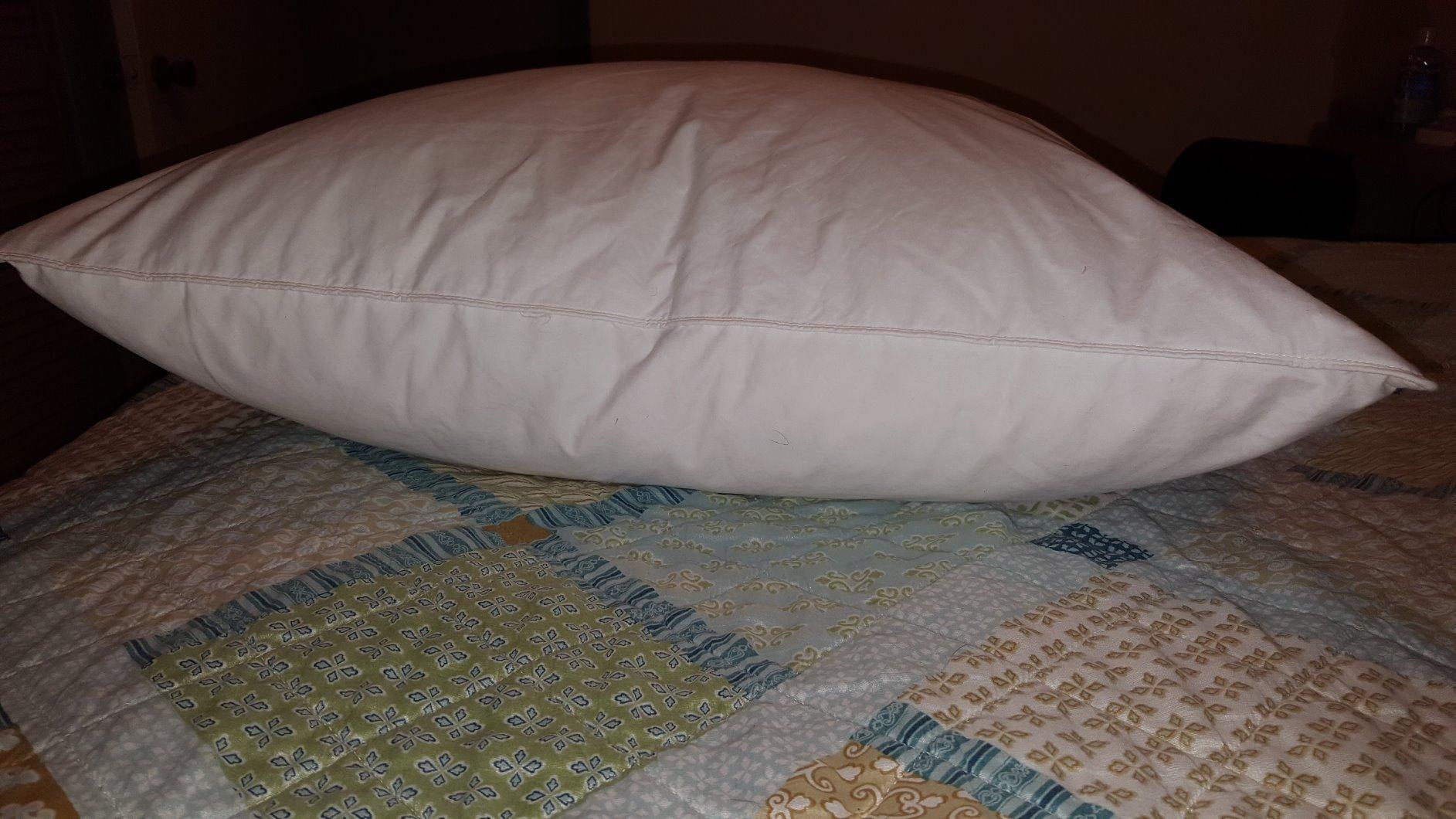 puredown Goose Feathers and Down White Pillows with 100% Cotton Cover, Bed Sleeping Hotel Collection Pillows Set of 2, Standard Size customer photo 1