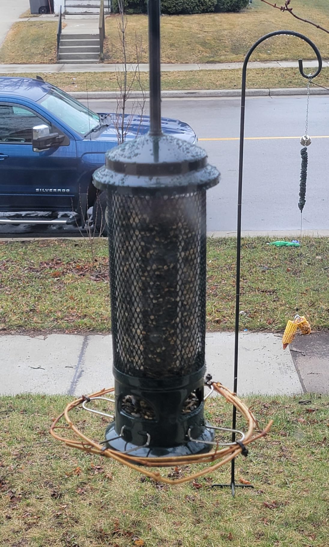 Squirrel Buster Legacy Squirrel-Proof Bird Feeder for Wild Birds – 4 Metal Removable Perches, 2.6 lb Seed Capacity, Chew-Proof Design, Easy to Clean, Green | Four removable metal perches, chew-proof construction, tool-free cleaning customer photo 1