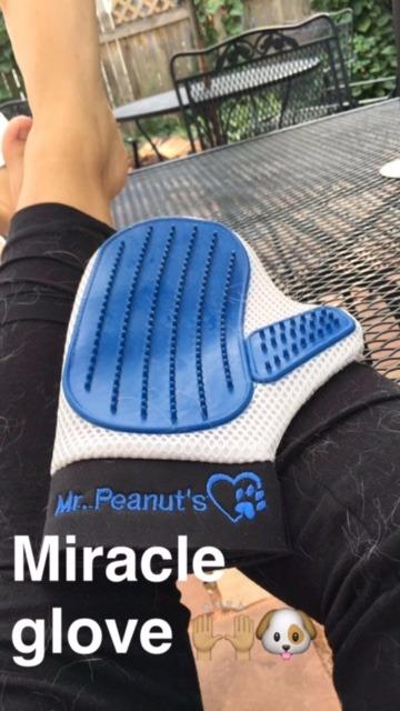 Mr. Peanut’s Pet Grooming Glove – Deshedding Hair Removal Mitt with Gentle Silicone Tips, Adjustable Wrist Strap & Breathable Mesh; Perfect for Dogs, Cats, Rabbits & Small Pets customer photo 2
