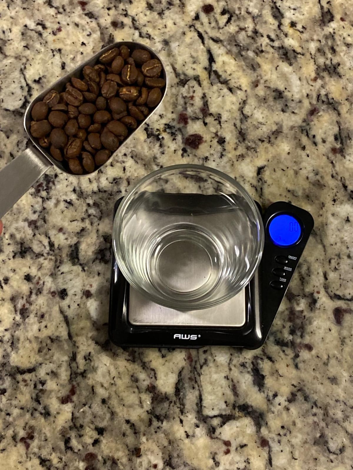 Coffee Gator Coffee Canister, 22oz Airtight Stainless Steel Container customer photo 2