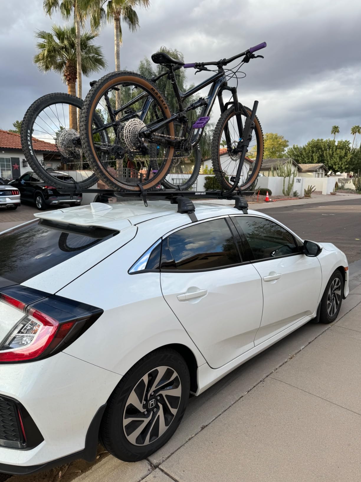 Rhino Rack Bike Roof Rack for Most Bikes, Secure Ratcheting Arm, Three Locking Systems, Ergonomic Handle, Universal Mounting for All Vehicles, Fits Most Bikes (RBC050) customer photo 1