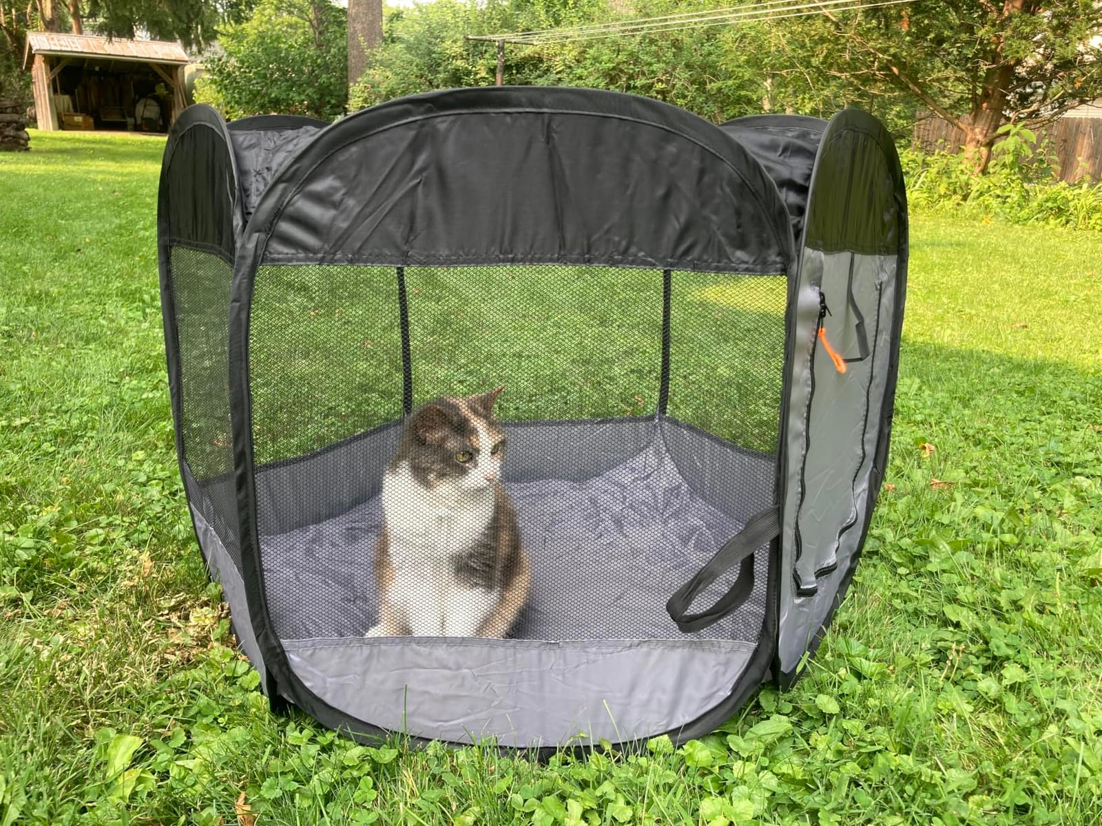 FurHaven Soft-Sided Dog & Cat Playpen, Portable Foldable Indoor & Outdoor Pet Playpen with Mesh Windows & Zippered Door, Gray, Extra Large customer photo 2