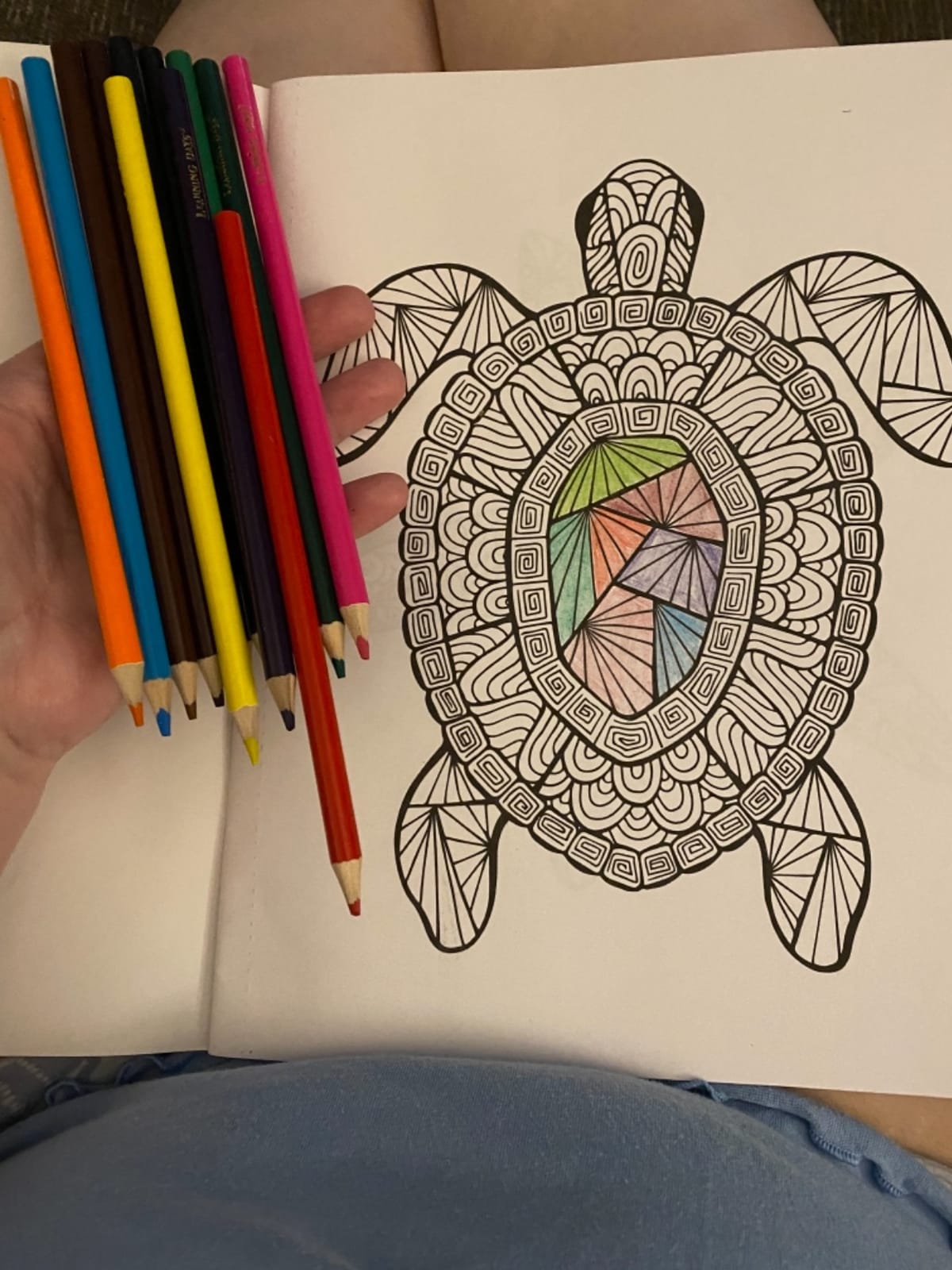 ZOCO - Gift Pack: 3 Adult Coloring Books Set with Colored Pencils - Oceans, Patterns & Nature - Relaxing Activity for Women, Seniors & Teens customer photo 2