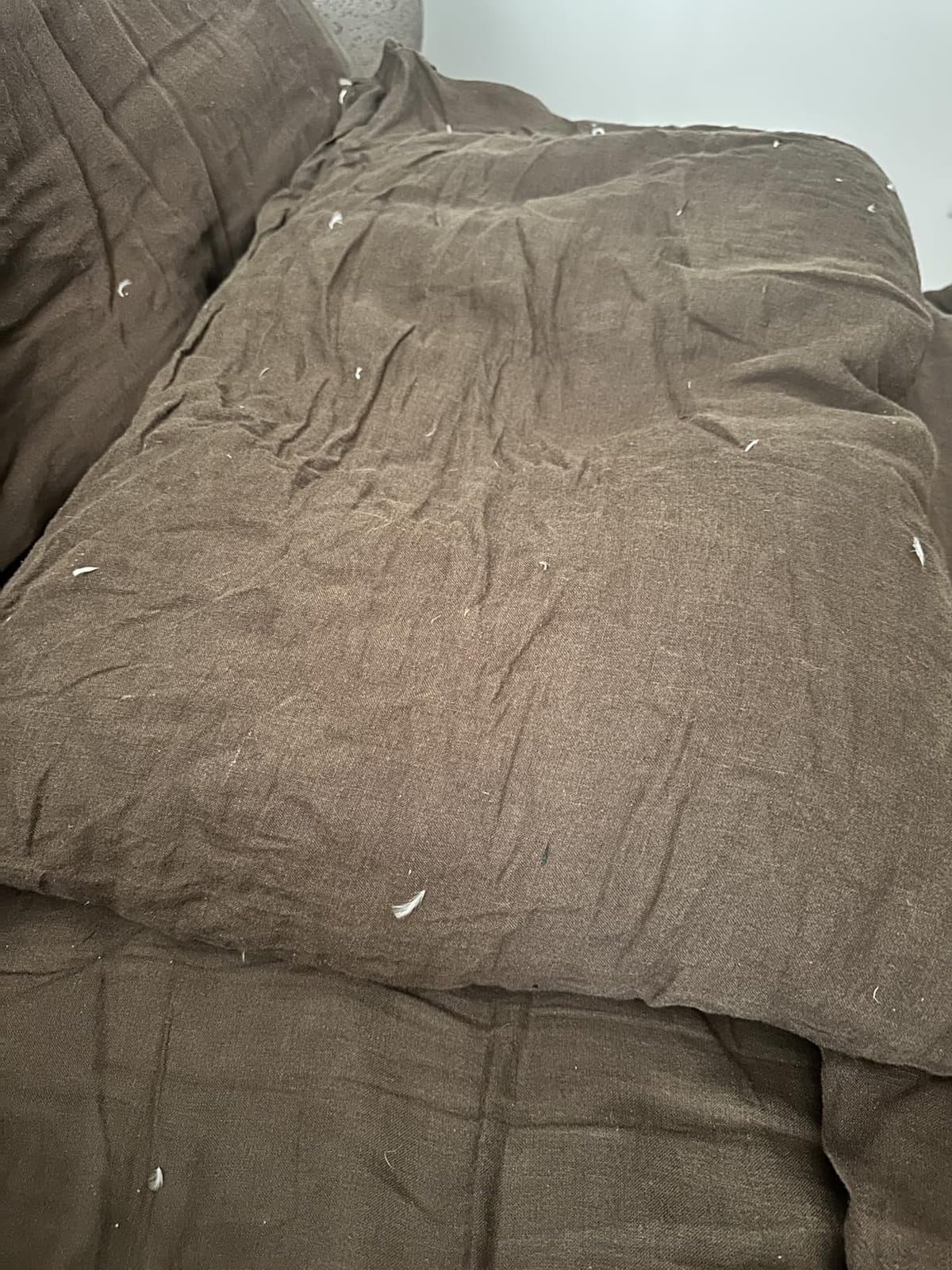 downluxe Goose Feather and Down Pillows, Bed Pillows Queen Size Set of 2 customer photo 2