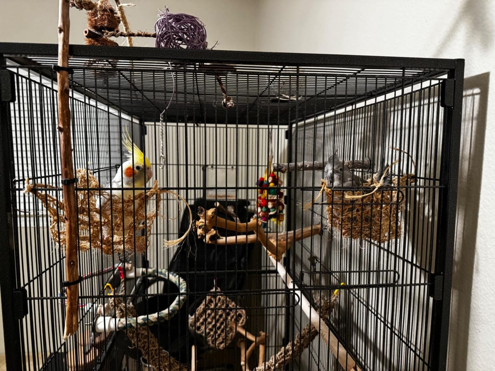 Prevue Pet Products Wrought Iron Bird Flight Cage w/Wheels- L, Chalk White customer photo 1